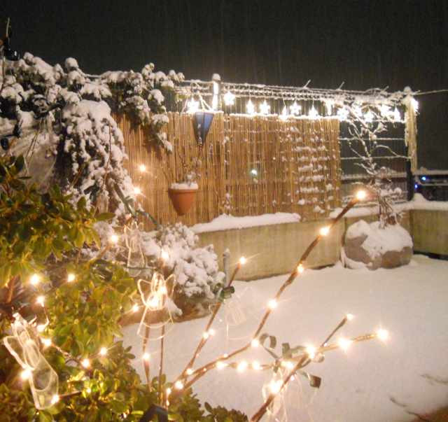 neve.jpg