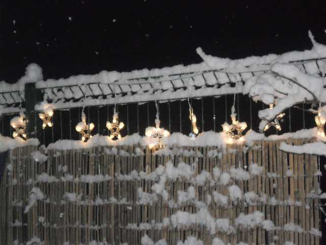 neve2.JPG