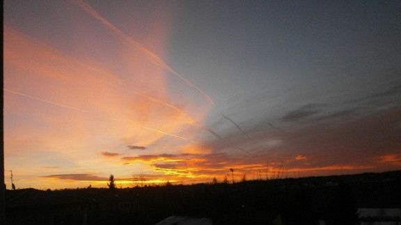 alba3.jpg