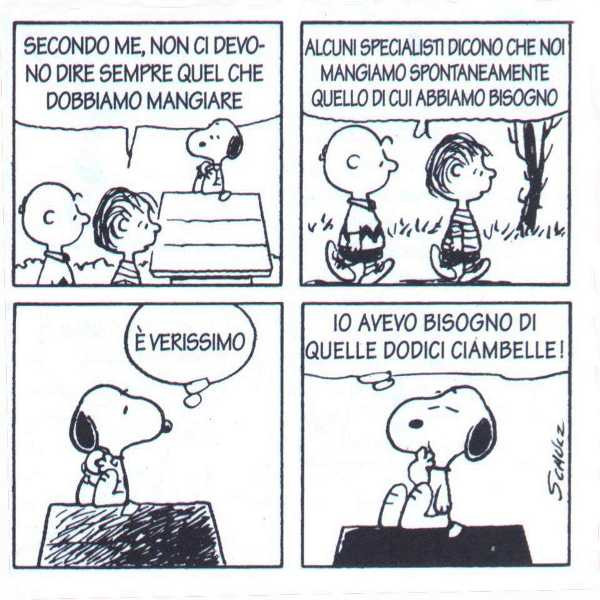 cittadiluce45.jpg
