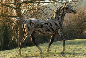 horse.jpg