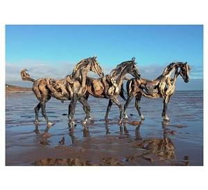 horse sea.jpg