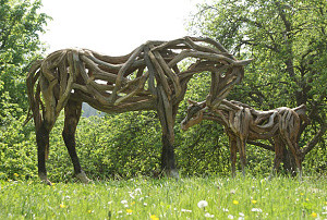 horse 1.jpg
