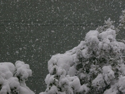 neve.jpg