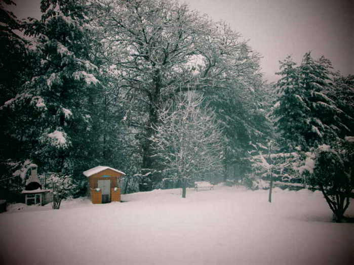 NEVE.JPG