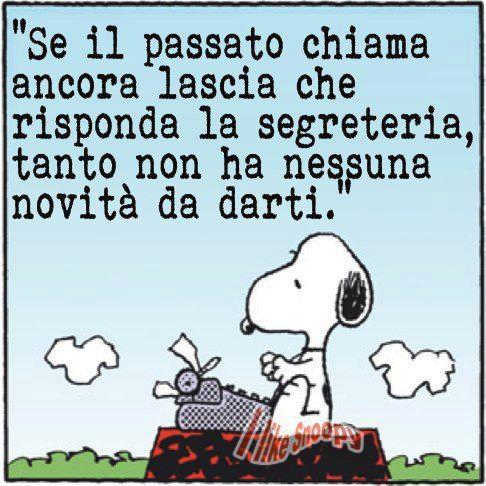 cittadiluce62.jpg