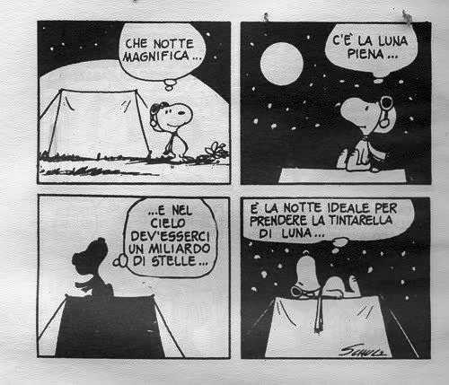 cittadiluce70.jpg