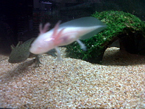 IMG00157-20130508-1634.jpg