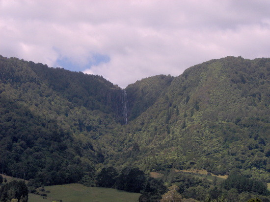 te aroha.JPG