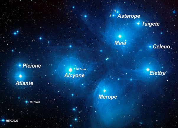 Ammasso M45 Pleiadi  603 liv1280px-Pleiadi_it.jpg