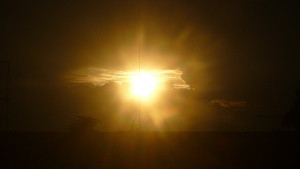 sole 3.jpg