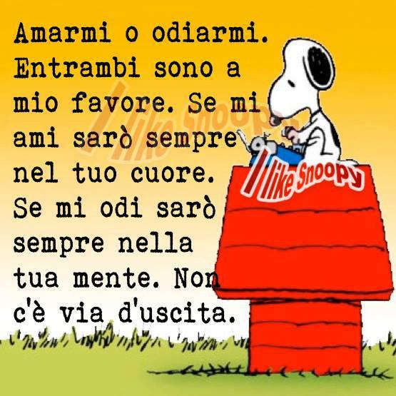 cittadiluce84.jpg