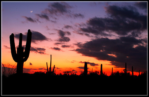 Arizona_sunset(1).jpg