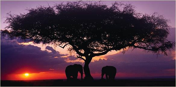 botswana_1.jpg