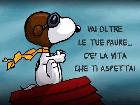 cittadiluce89.jpg
