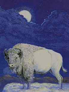 bisonteBianco.jpg