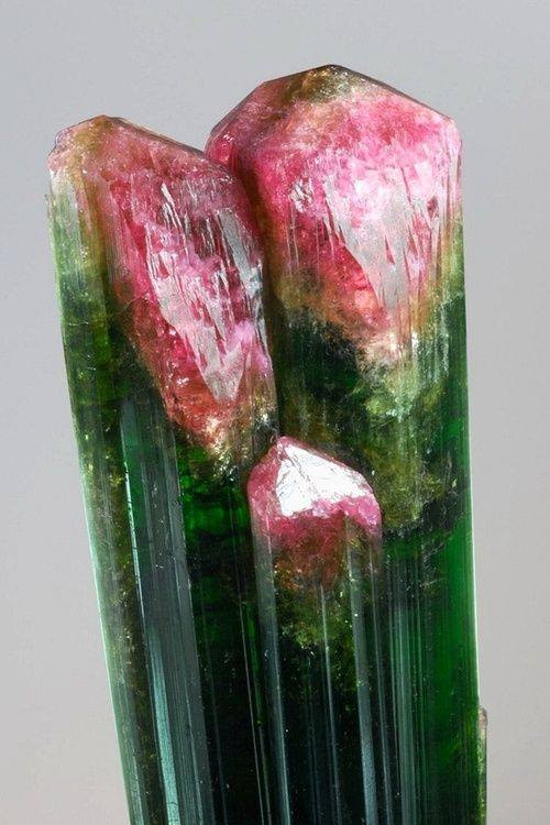 Elbaite Tourmaline.jpg