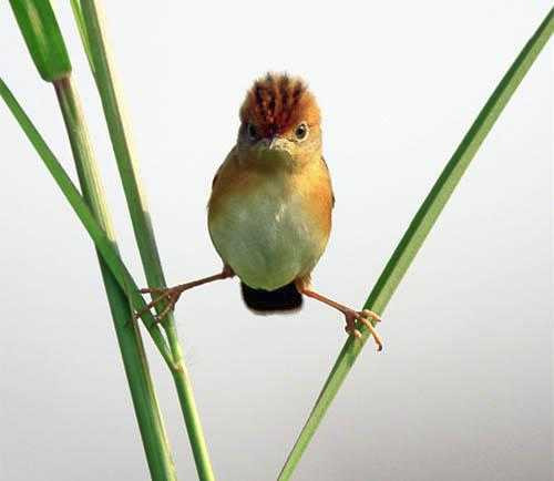 Equilibrio.jpg