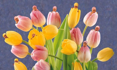 lgno71-tulips-anne-geddes-mini-poster.jpg