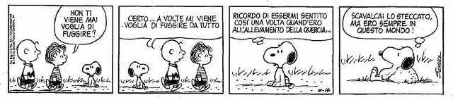 cittadiluce14.jpg
