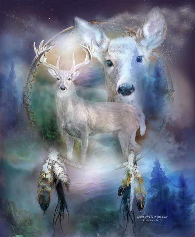 deer.jpg
