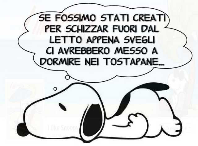 cittadiluce18.jpg