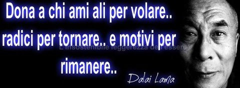 Ali per volare.jpg