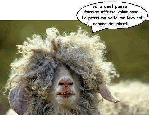 garnier.jpg