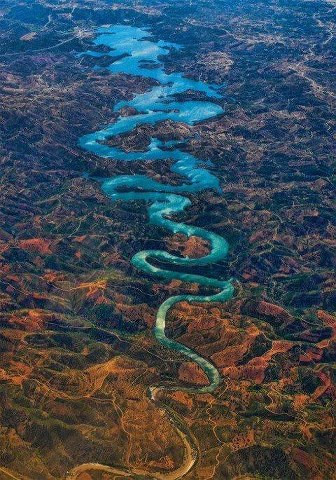 Blue dragon.jpg