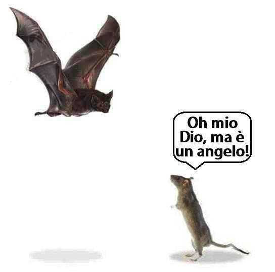 cittadiluce29.jpg