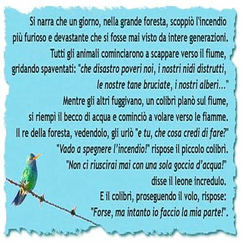 colibrì.jpg