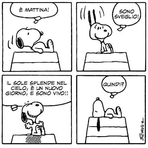 snoopy_2bsveglio[1]_mini.jpg