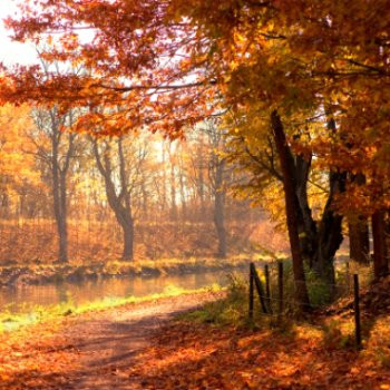 autunno2.jpg